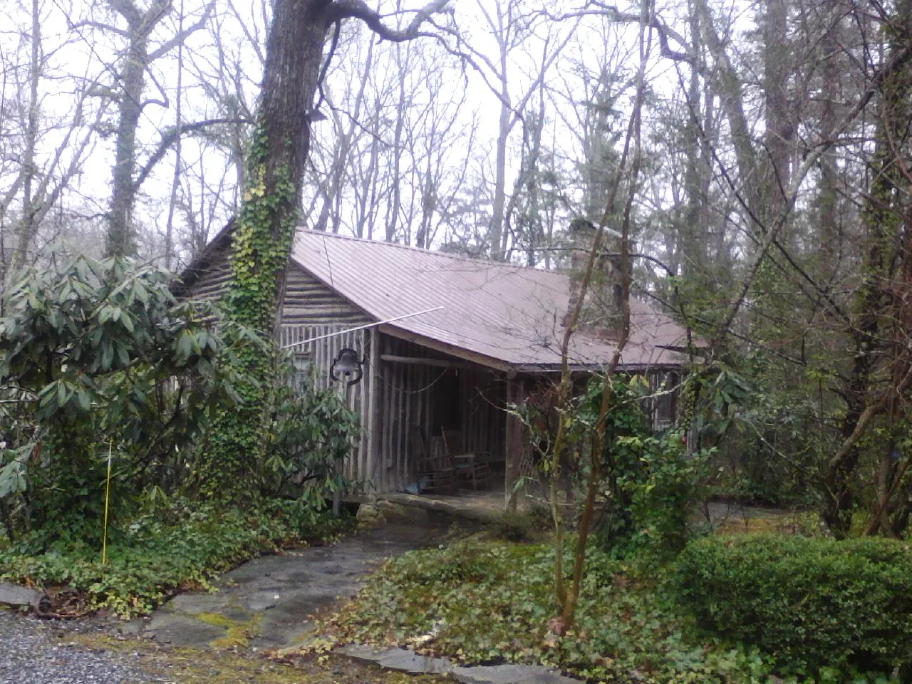 Weathered metal roof on an old board sided cabin in the woods in Cleveland